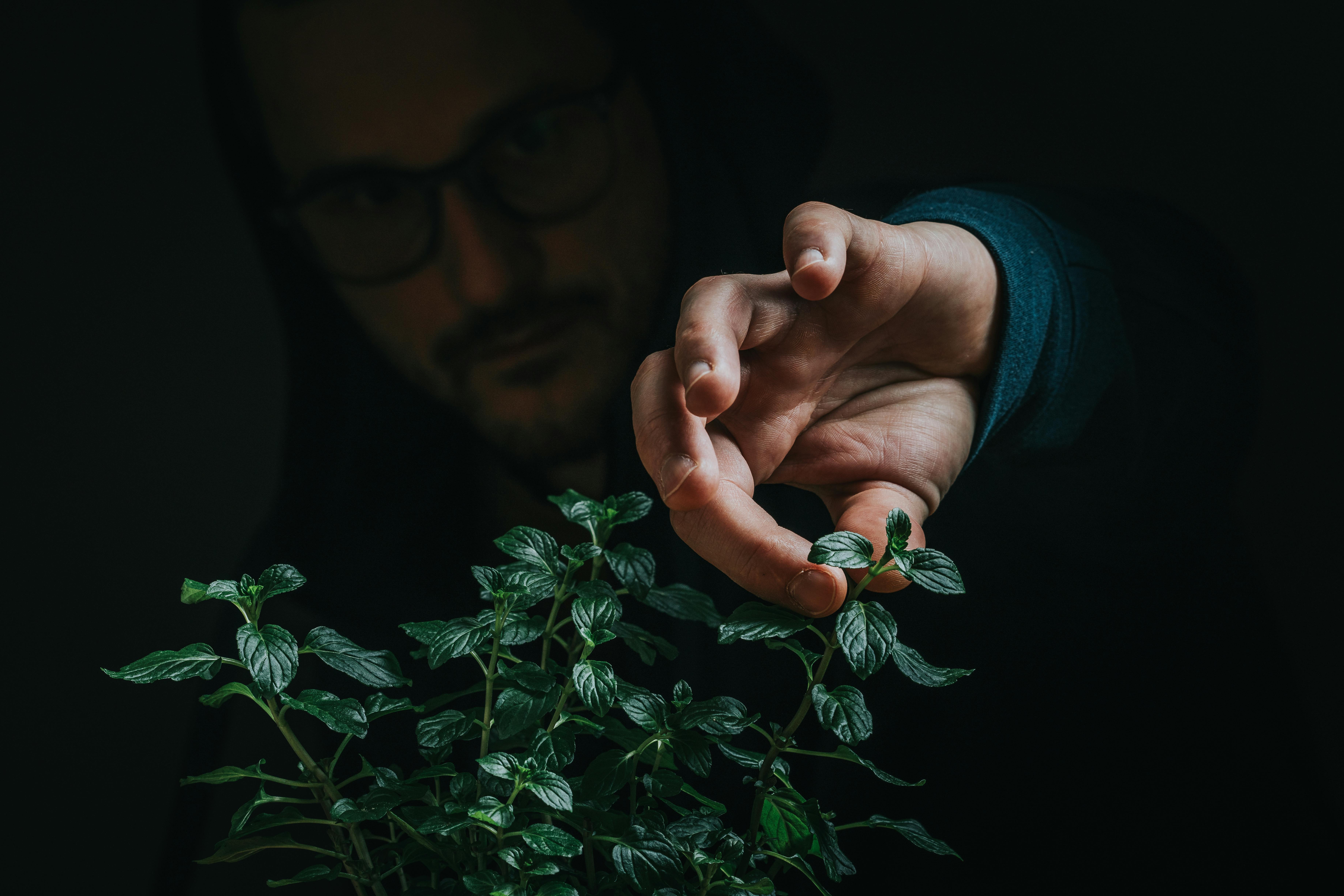 Growth hacking is really just growth testing — Photo by Jan Kopřiva on Pexels