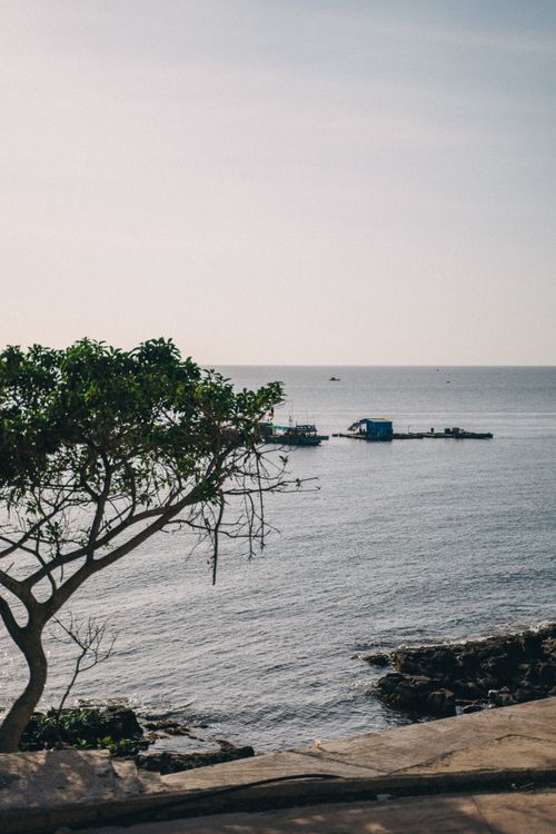 Free Serene ocean landscape with a tree overlooking calm seas, perfect for travel inspiration. Stock Photo