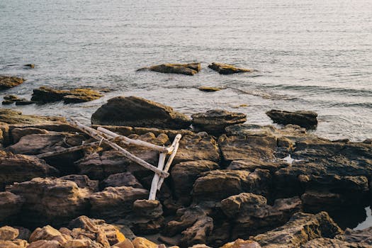 Peaceful view of a rocky seashore with driftwood at sunset, ideal for wallpapers.