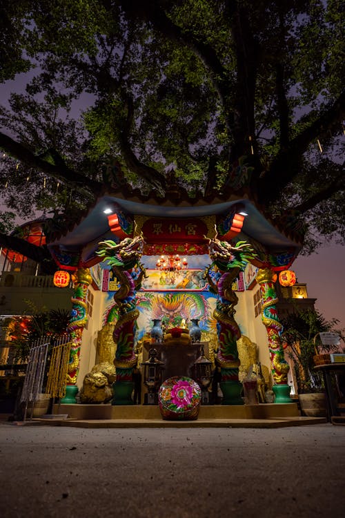 Kostenloses Stock Foto zu baum, buddhismus, chinesische kultur