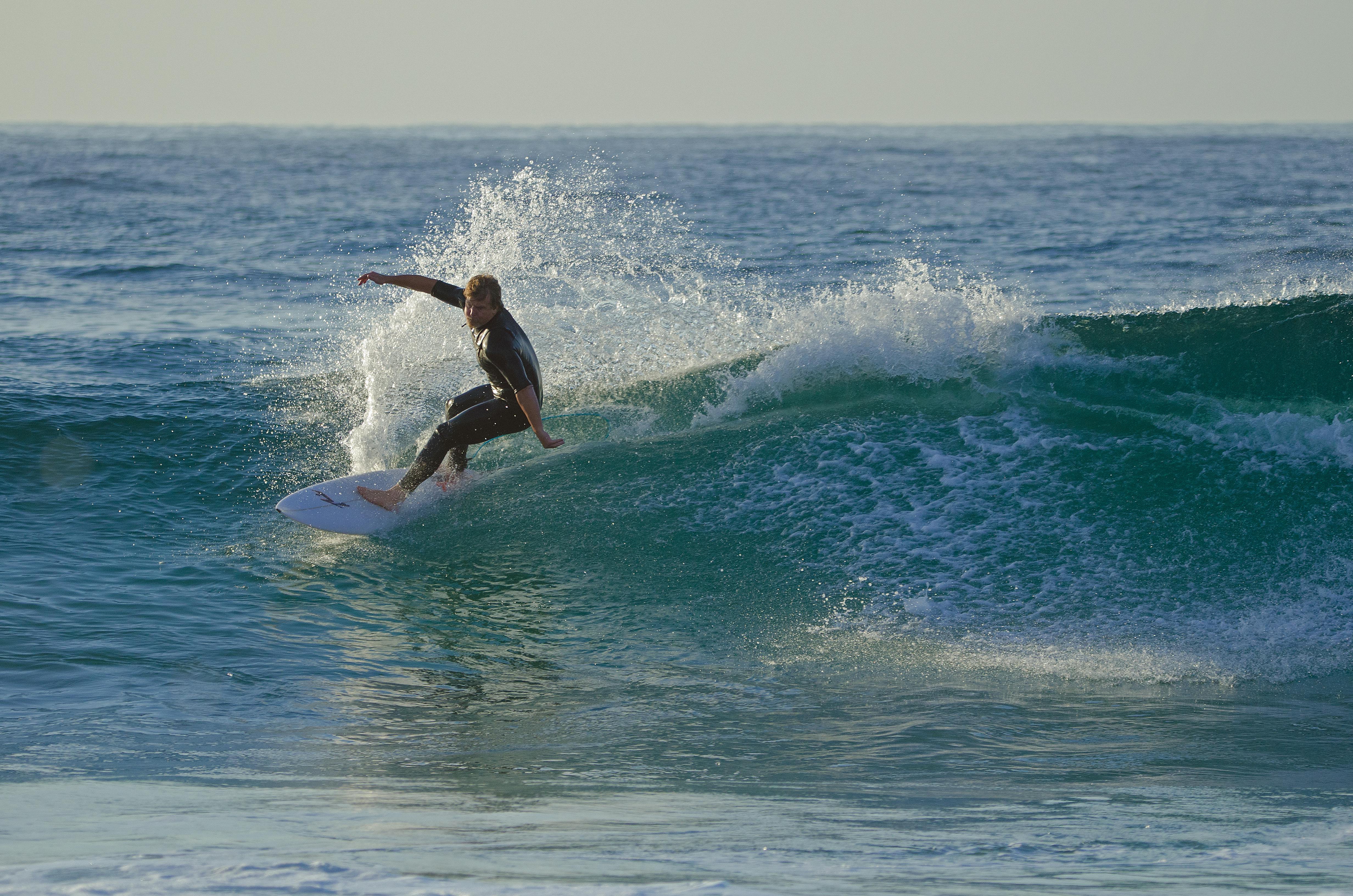 Unleashing Culinary Creativity with the Hamilton Beach Wave Action