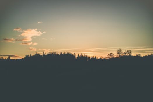 英格兰兰开夏郡的森林剪影宁静，日出充满活力