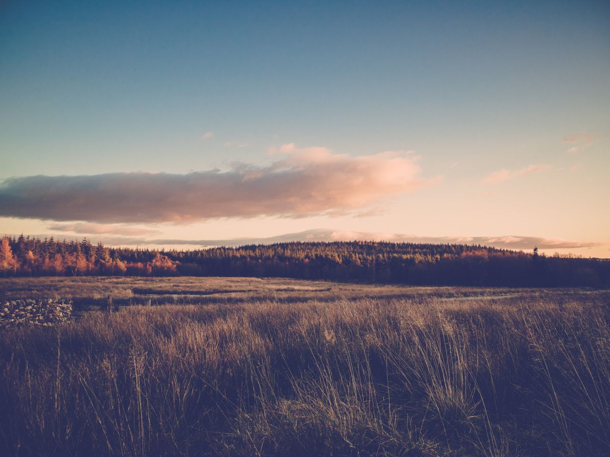 3 Day Stress Relief & Burnout Recovery Retreat in England, UK 2