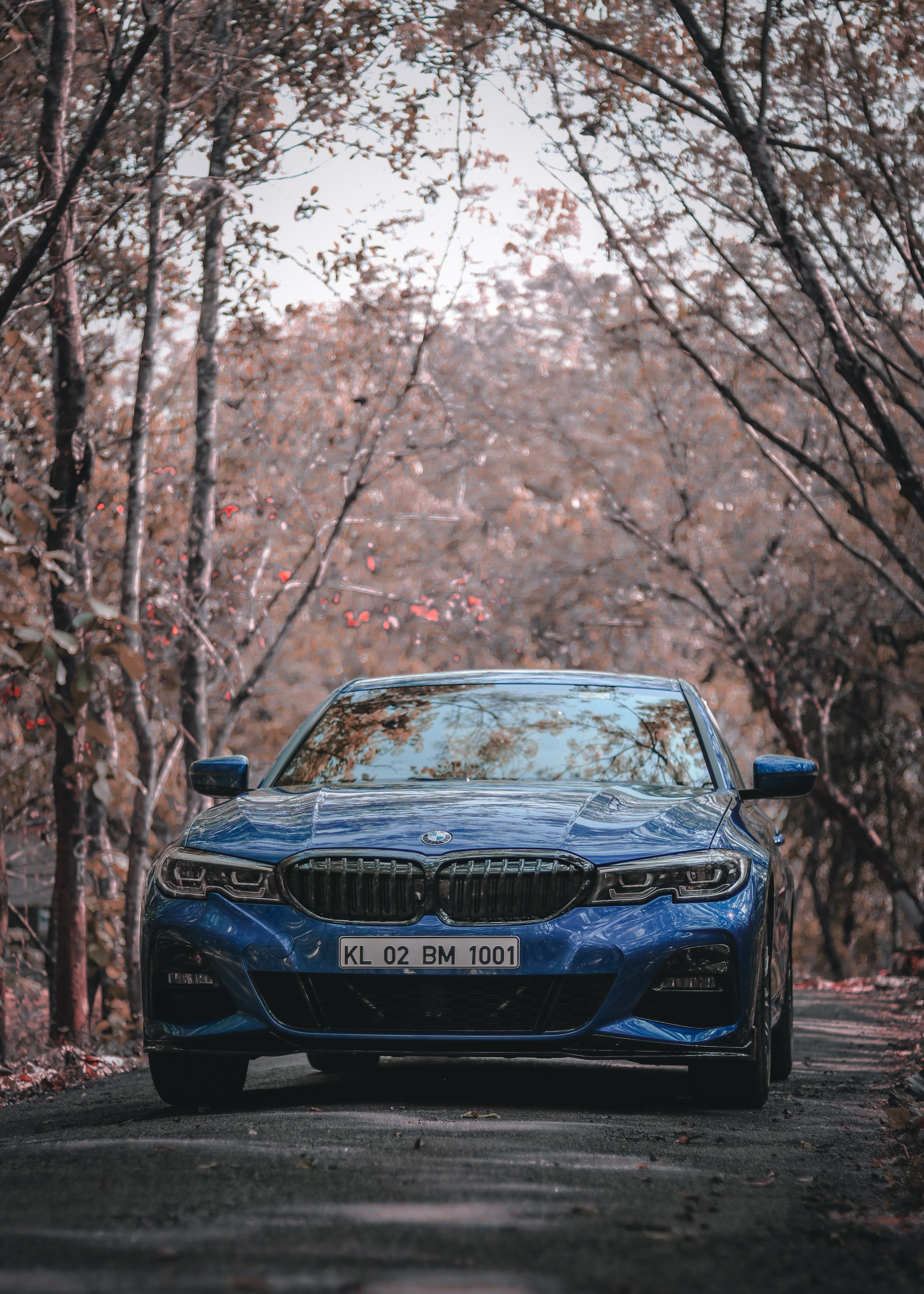 Blue Bmw Wrapped Around Tree