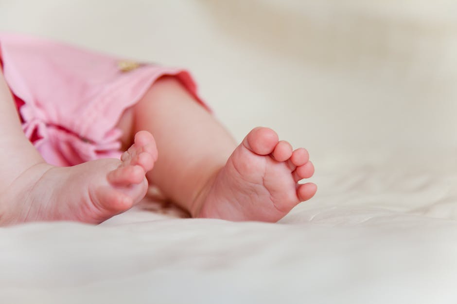 Newborn baby's feet - Stock Image - F002/9036 - Science Photo Library