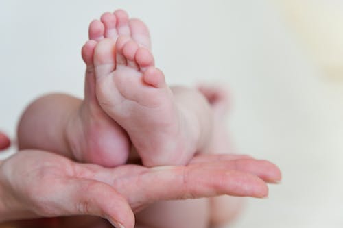 Free Photograph of a Child's Feet on a Person's Hand Stock Photo
