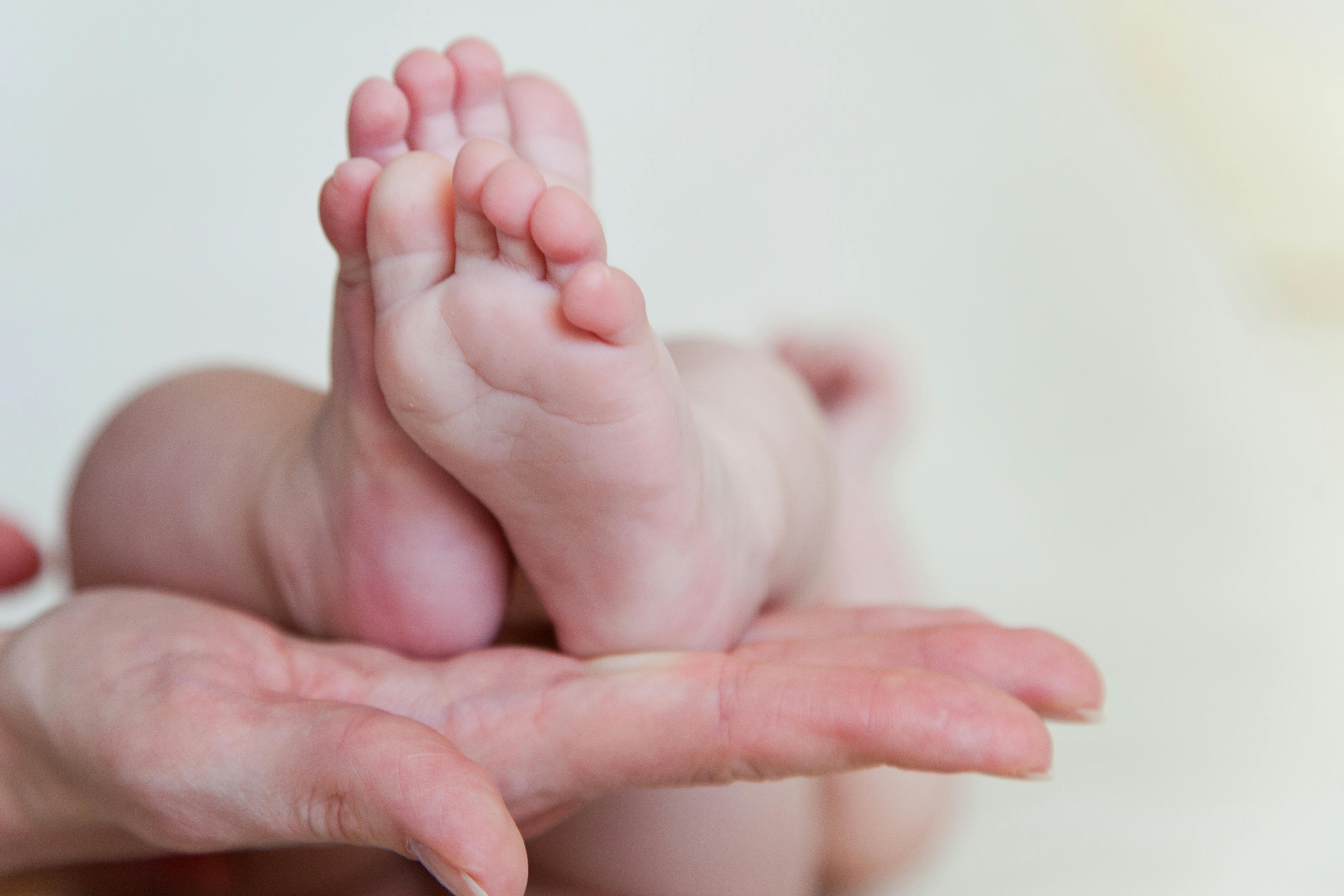 Newborn baby's foot - Stock Image - M815/0425 - Science Photo Library