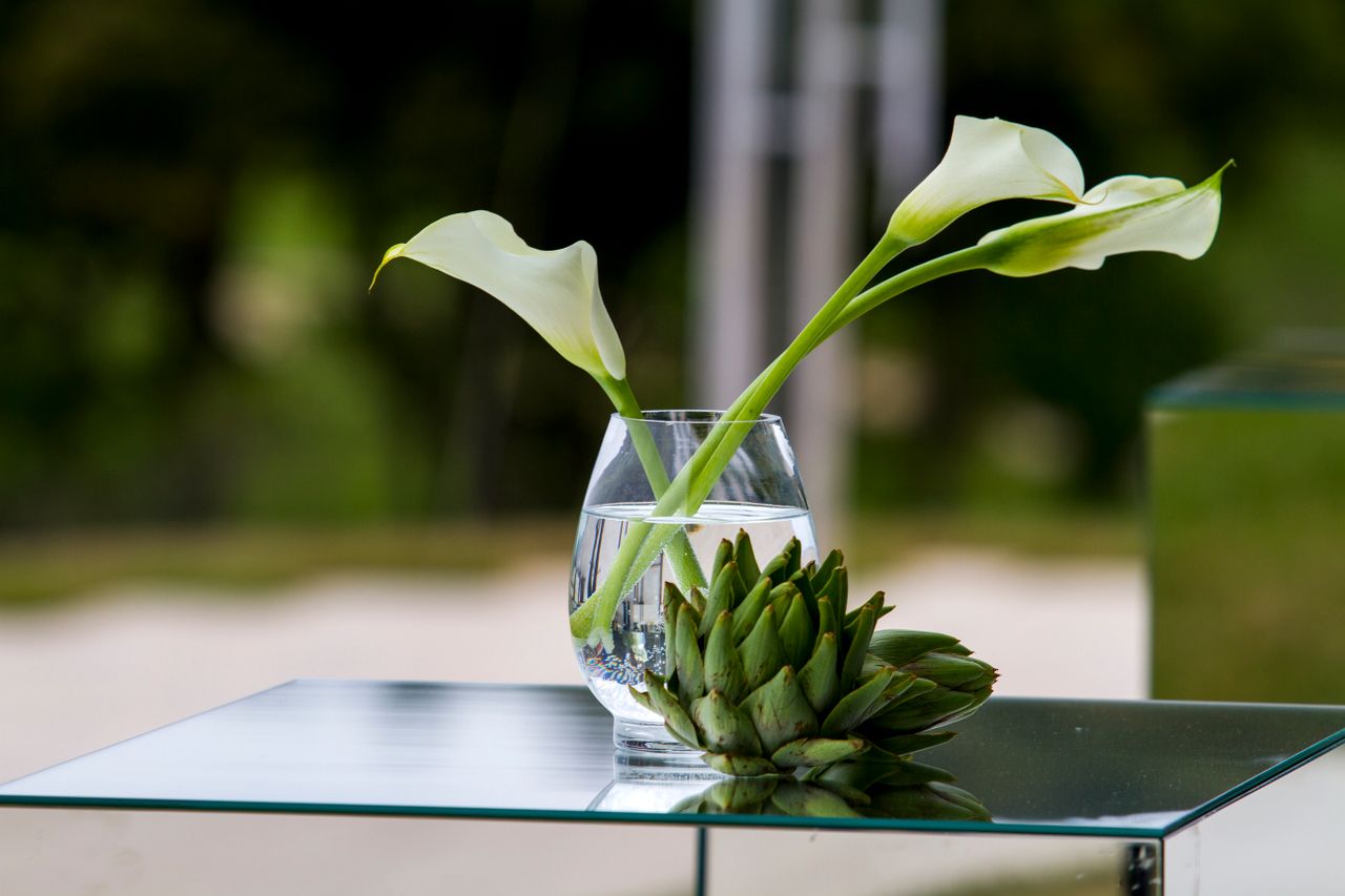 calm and elegant scene of calla lilies in a glass vase on a reflective