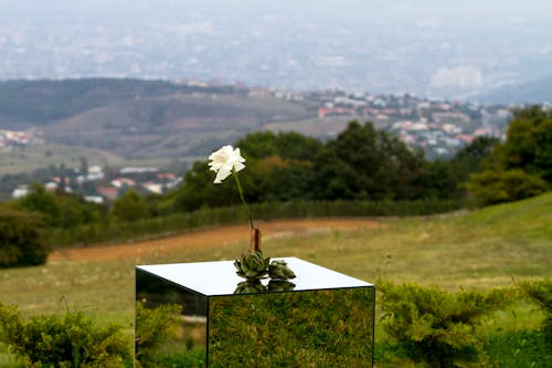 Glass Table with a Flower on Top Standing on a Hill