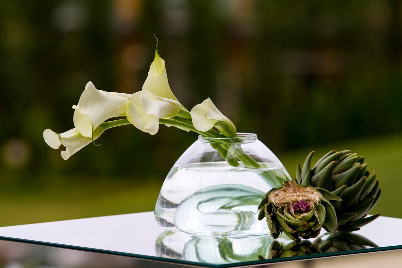 a minimalist still life of elegant calla lilies in a glass vase with a