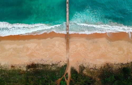 Безкоштовне стокове фото на тему «безтурботний, берег моря, відпустка»