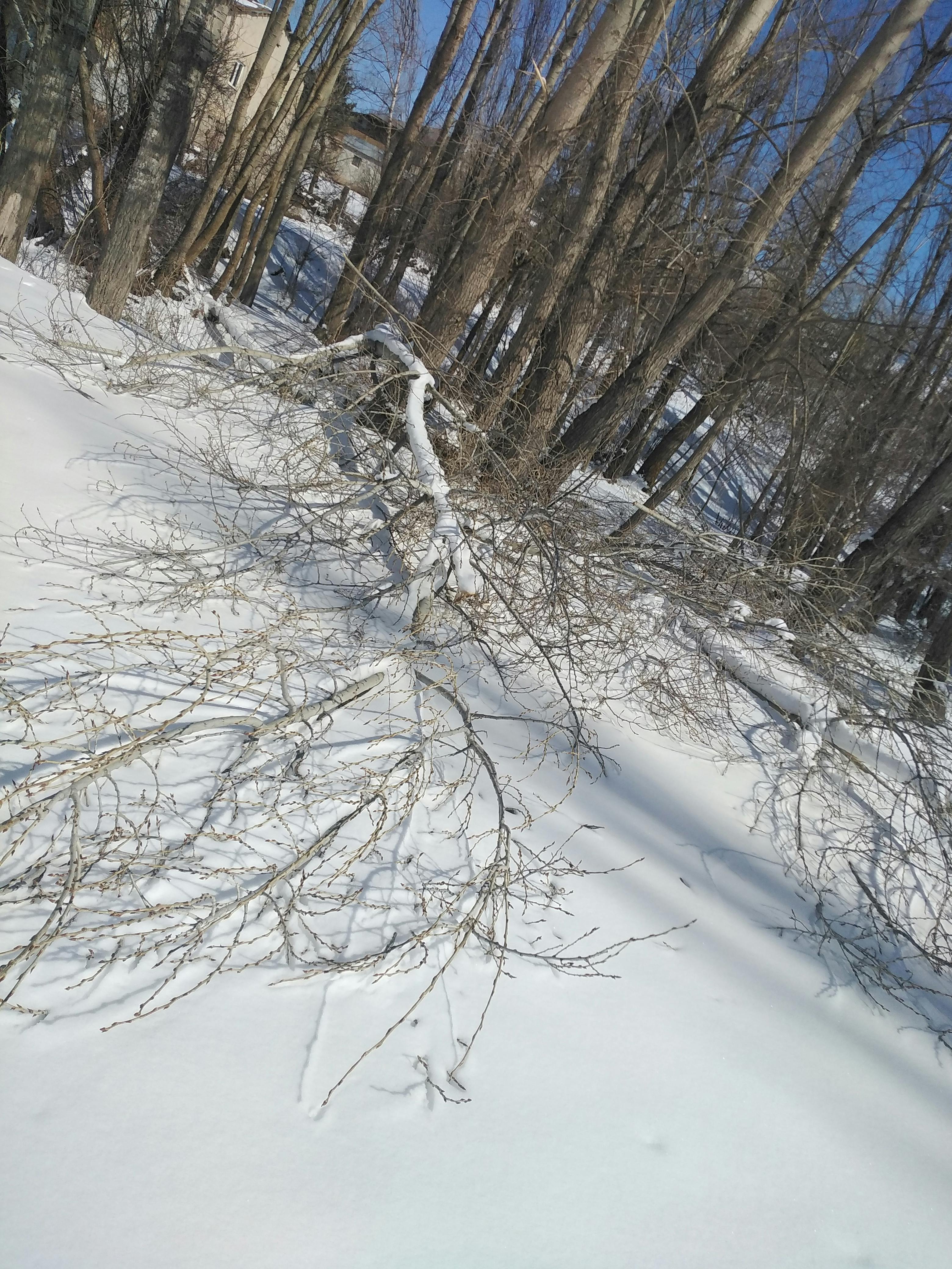 Varanda pequena com prateleiras verticais cheias de plantas, criando um jardim vertical.