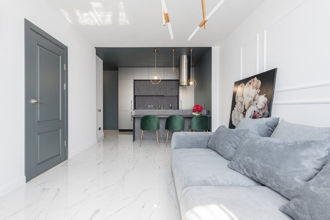 Interior of modern apartment with kitchen and living room