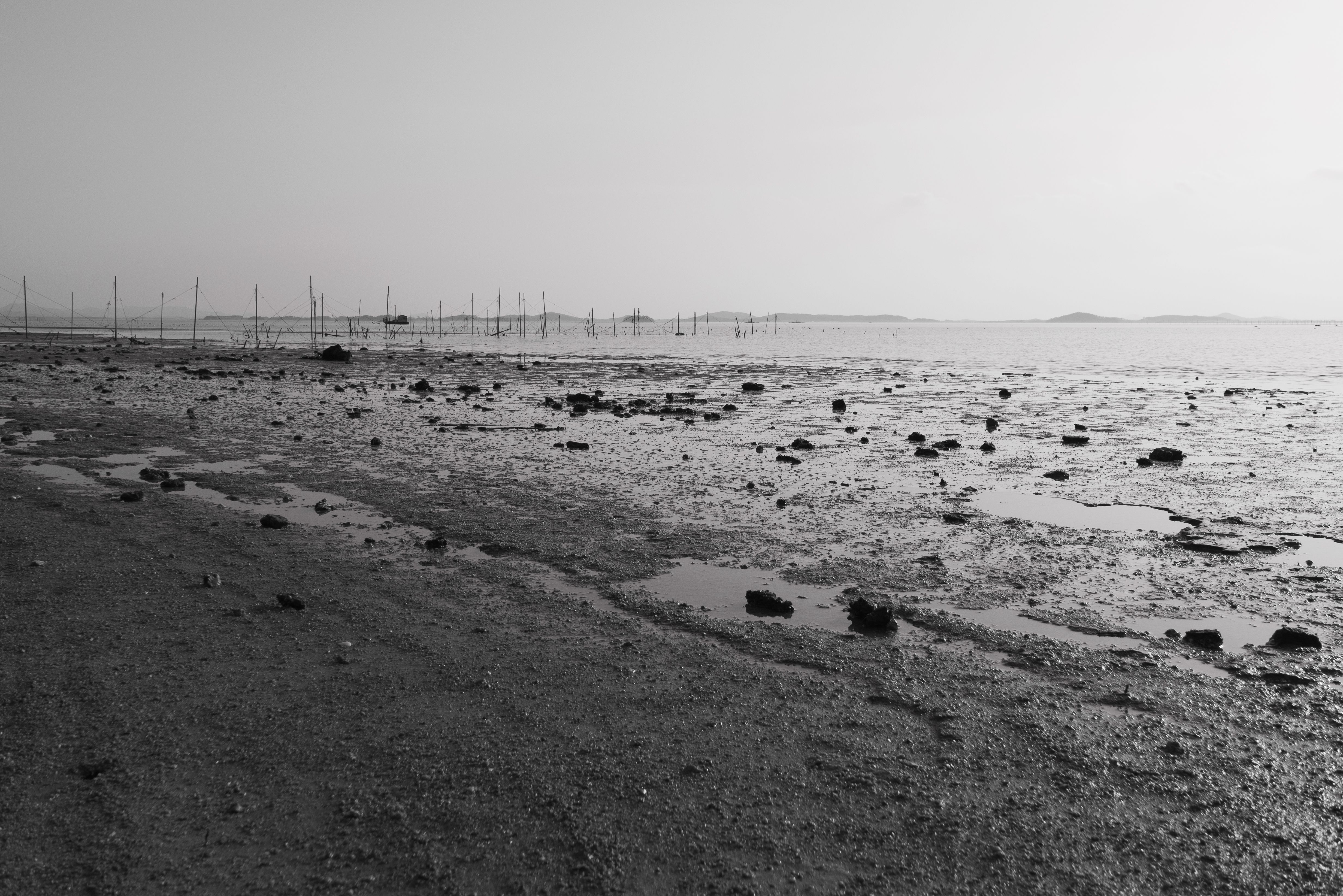Mudflats and rocks exposed during extreme low tide on coast