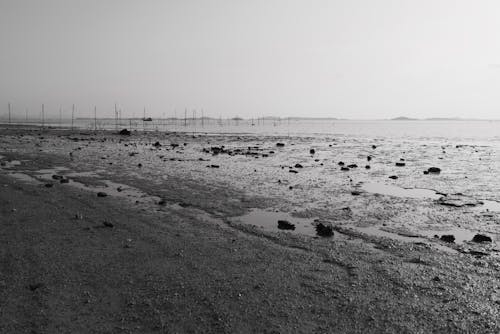 Grayscale Photo of the Beach