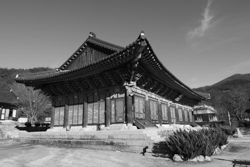 Ảnh lưu trữ miễn phí về chùa, đền thờ, đen và trắng