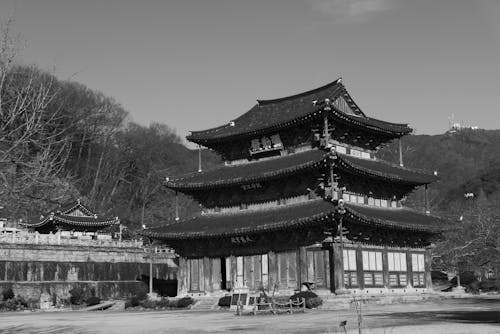 Бесплатное стоковое фото с Азиатская архитектура, монохромный, оттенки серого