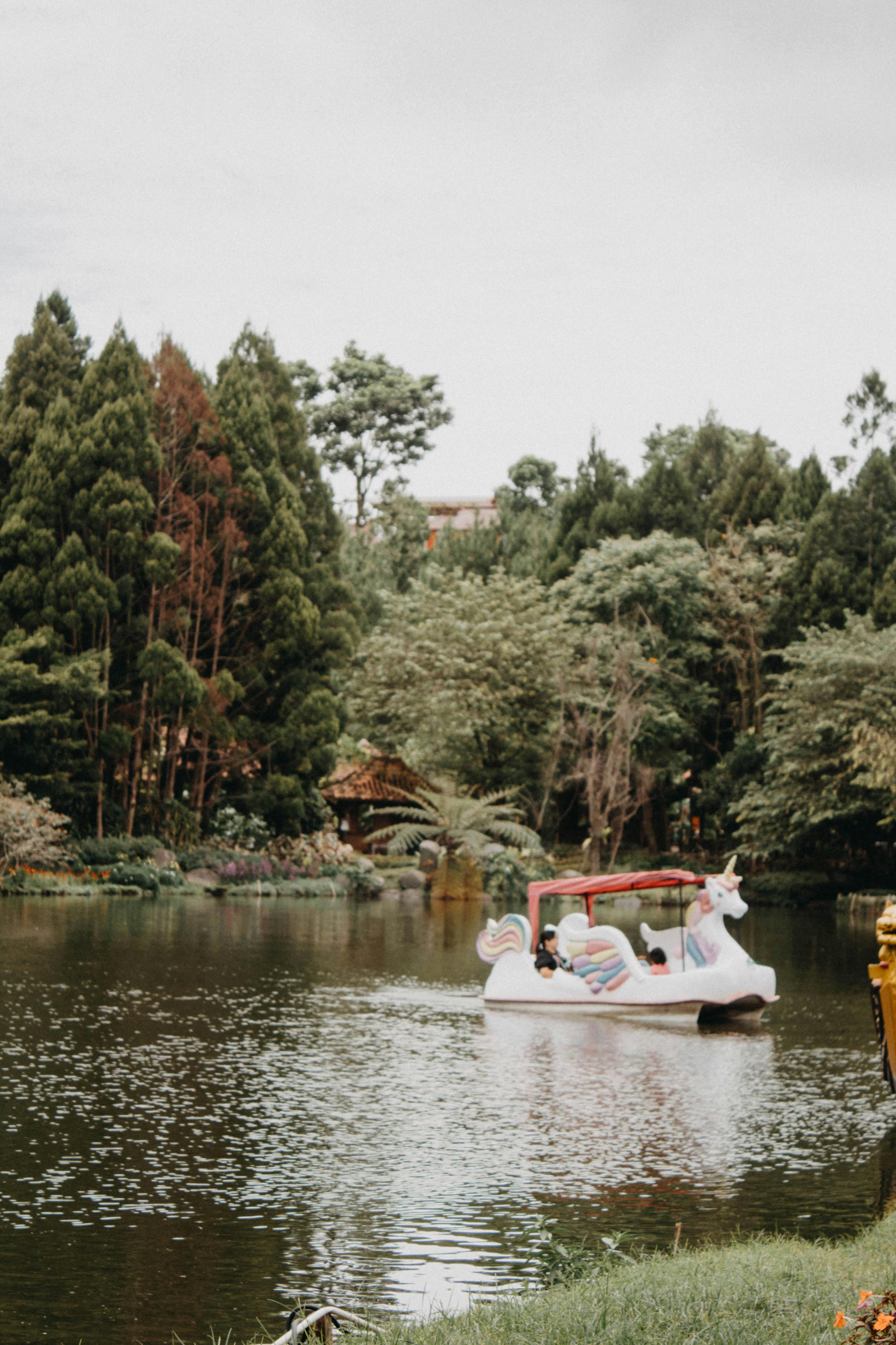 unicorn boat on the lake near the trees