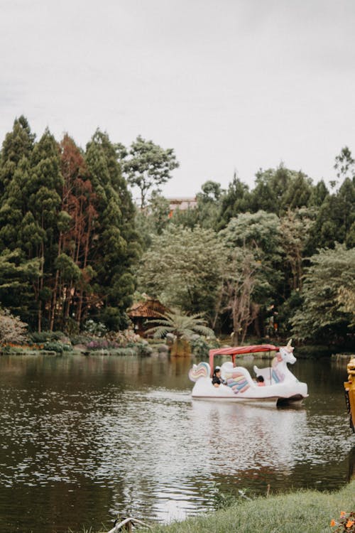 Darmowe zdjęcie z galerii z drzewa, jezioro, łódź jednorożca