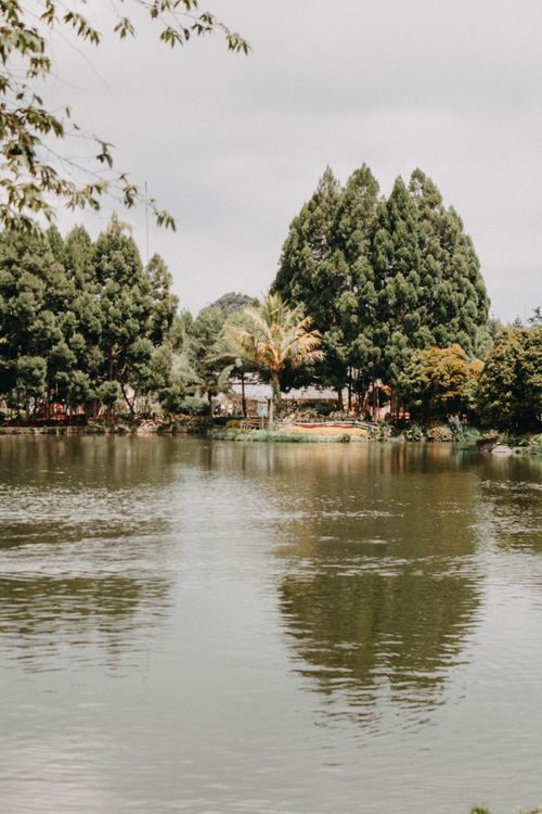 Free Serene view of a calm lake enveloped by lush trees, creating a peaceful nature landscape. Stock Photo