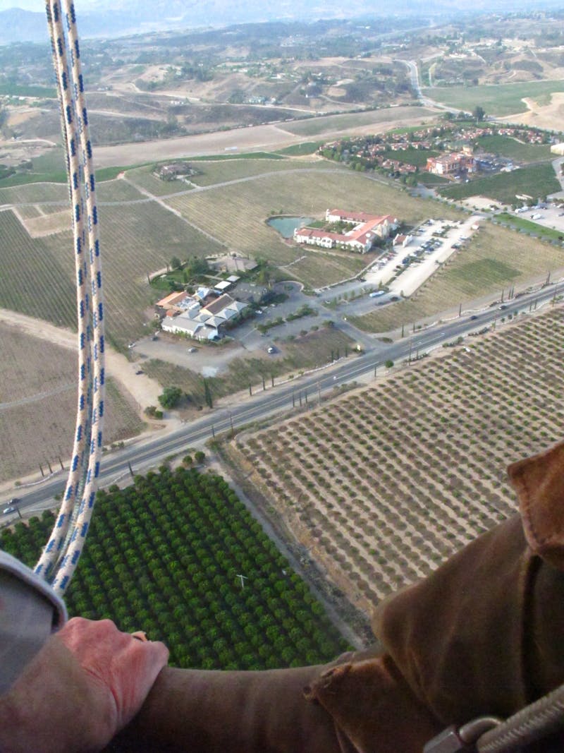 Bottles of lavender essential oil and dried lavender flowers, highlighting the natural ingredients.