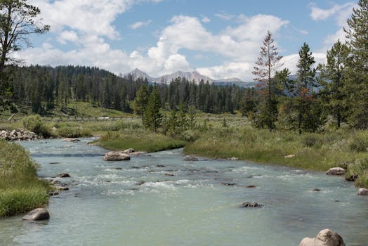Serene mountain stream flowing through a lush forest landscape under a bright blue sky.