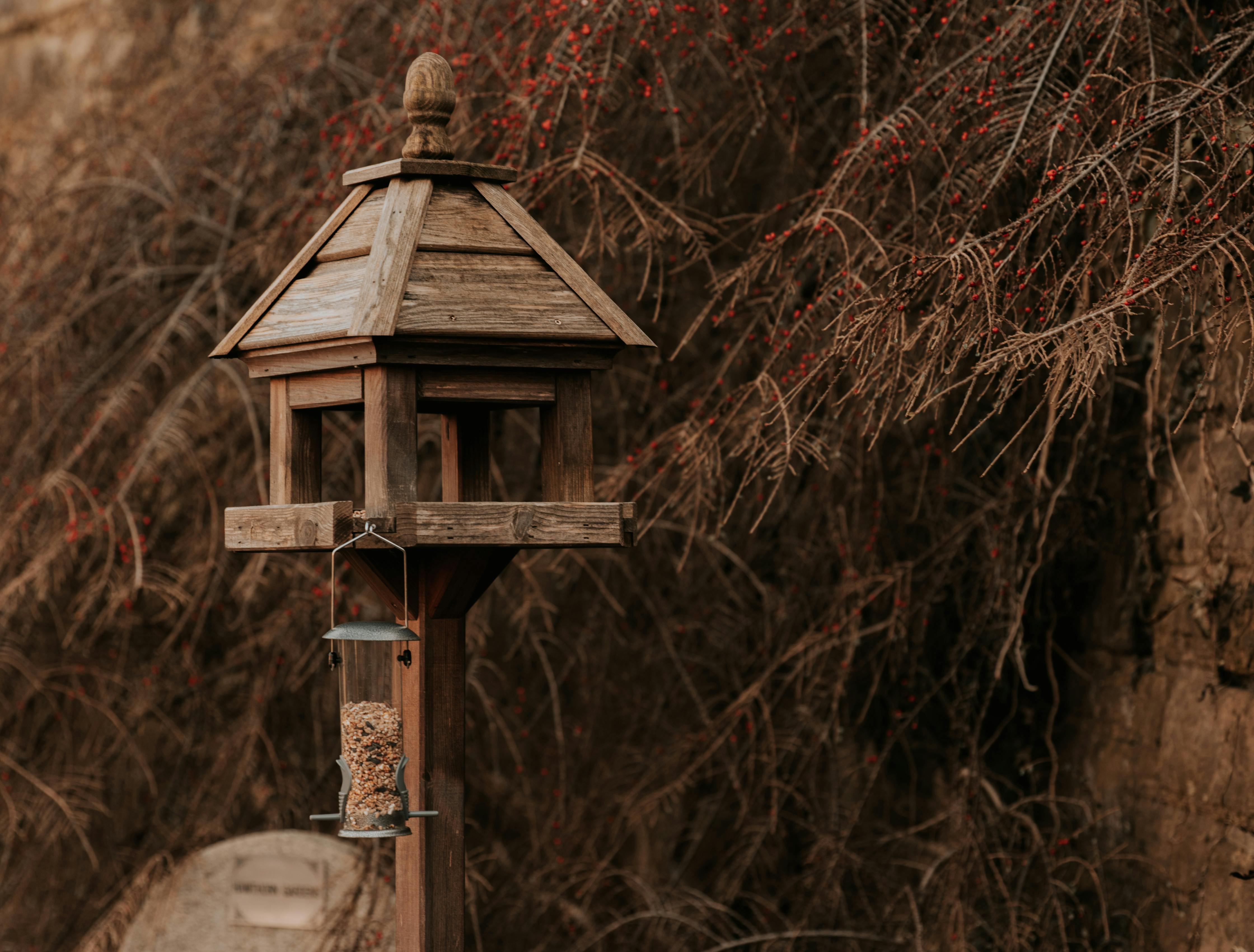 Brown Wooden Bird House on the Wooden Post · Free Stock Photo