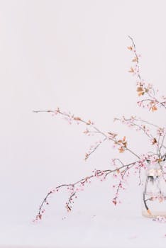 Minimalist cherry blossom branches in a clear vase against a light background.
