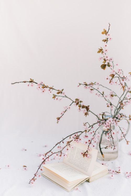 Sakura Flowers Live Wallpaper For Android Apk Download