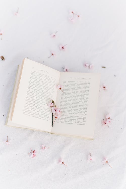 Безкоштовне стокове фото на тему «вертикальні постріл, вишневий цвіт, відкрита книга»