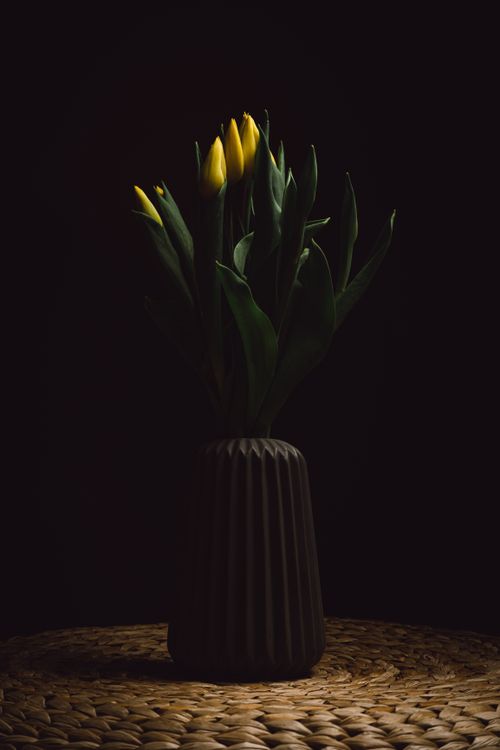 Free Elegant yellow tulips in a vase with moody lighting, perfect for serene interior decor. Stock Photo