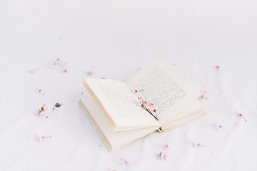 açık kitap, Çiçekler, en az içeren Ücretsiz stok fotoğraf