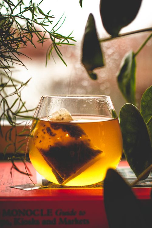 Free A steaming glass of tea with a tea bag on a book surrounded by plants, creating a cozy atmosphere Stock Photo