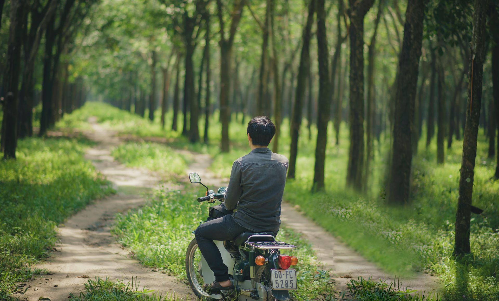 Man on motorcycle navigating a scenic forest path during daytime.