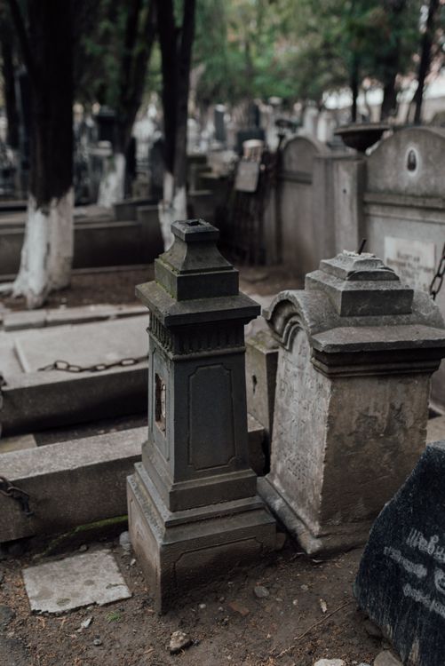 A peaceful cemetery with gravestones among lush green trees