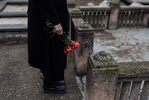Foto d'estoc gratuïta de cementiri, flors vermelles, formigó