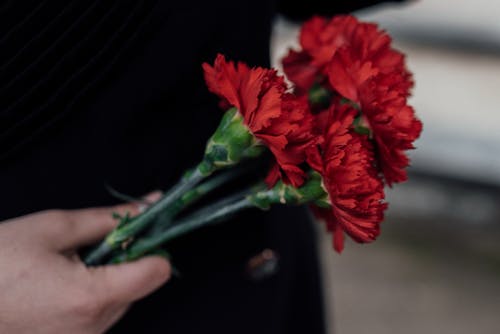 Person Holding Red Flower Bouquet