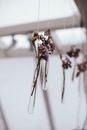 Hanging Purple and White Flowers in a Test Tube