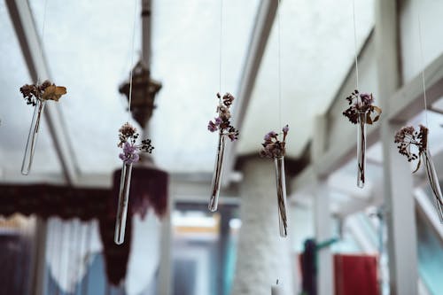 Free Бесплатное стоковое фото с висячий, высохшие цветы, декоративный Stock Photo