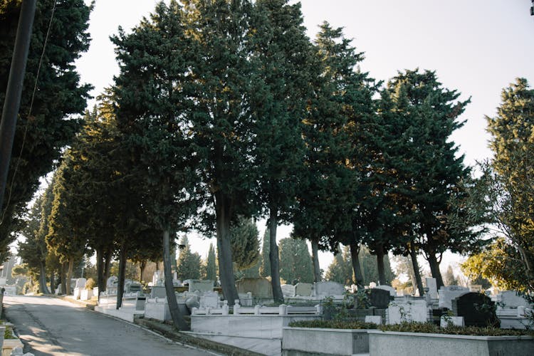 Aged Cemetery With Green Trees