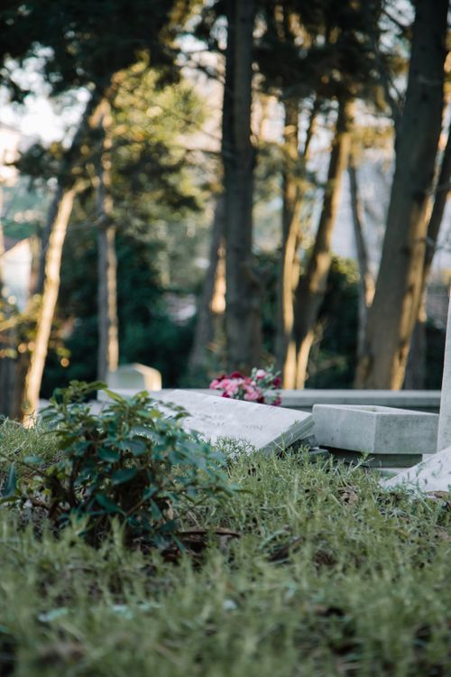 Free Stone plates placed on ground with green grass among trees in park in daytime Stock Photo