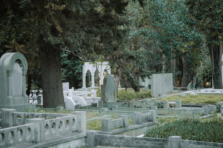 Cemetery With Graves And Overgrown Trees In Daytime