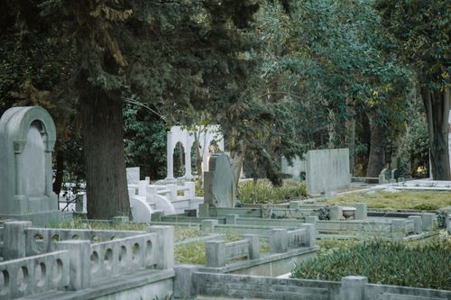 Free Graveyard with headstones and fences among plants and high trees with lush green branches in daylight Stock Photo