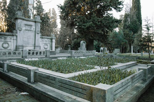 Cemetery with graves and tombstones against high trees