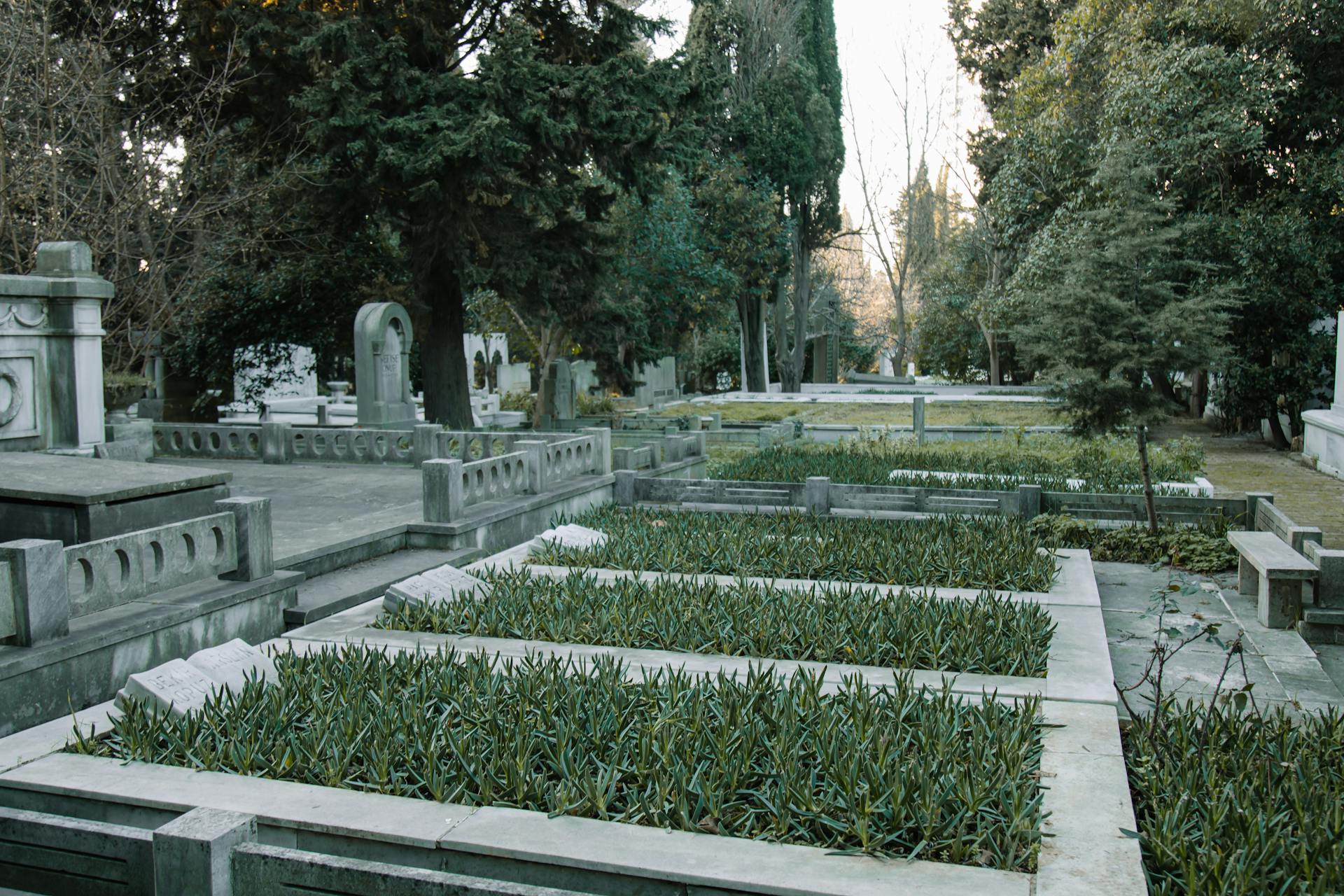 Burial ground with rows of aged graves with headstones against lush green trees in daytime