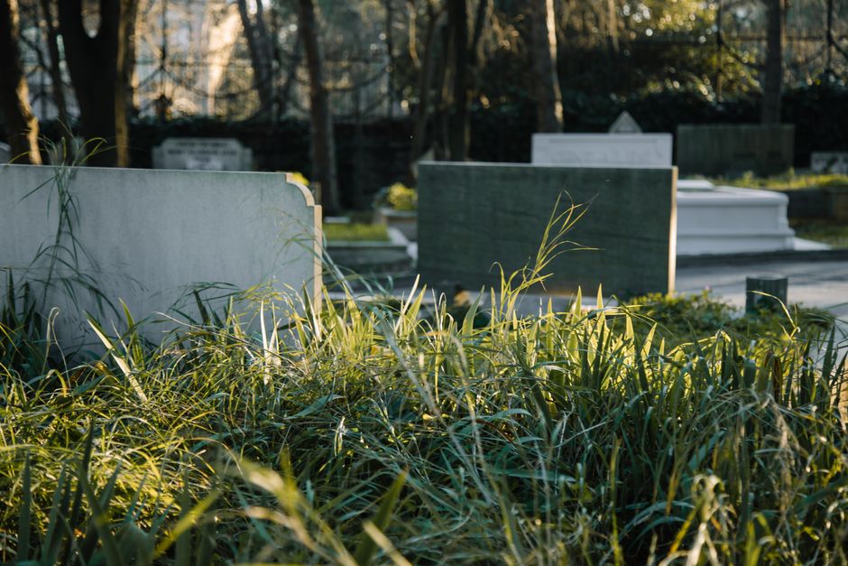 Burial ground with old rectangular shaped tombstones between wavy grass growing in sunlight on blurred background