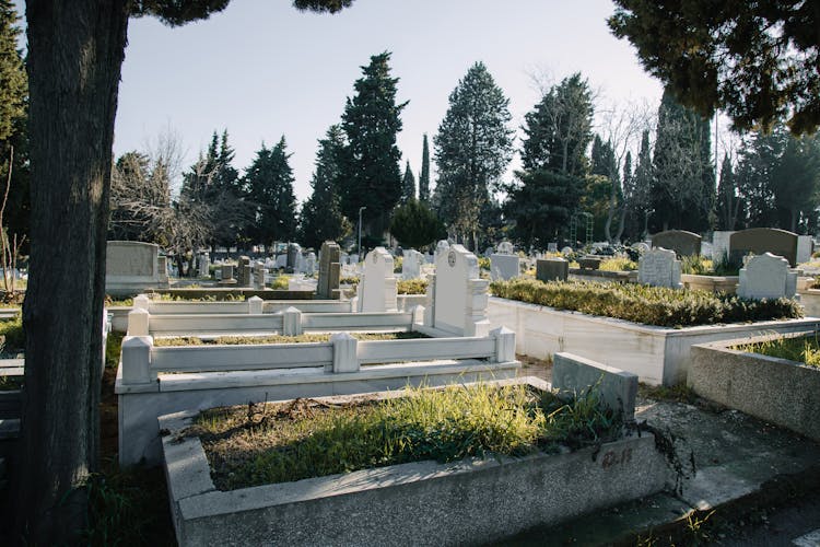 Graves With Headstones Against Trees In Burial Ground