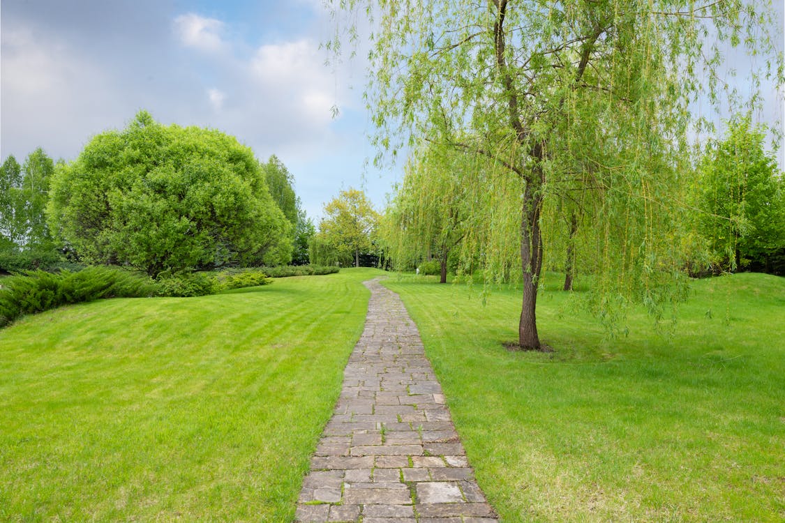 Free Narrow cobblestone path in park with fresh verdant grass and trees under tranquil blue cloudy sky Stock Photo