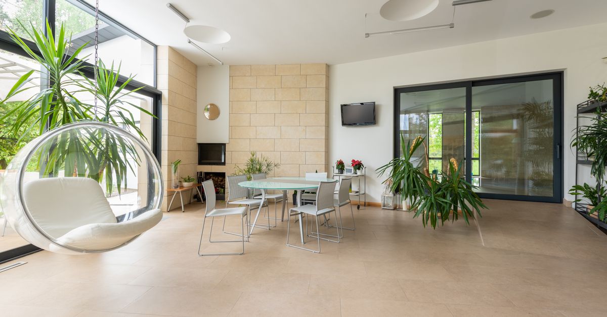 Les meilleures plantes d'intérieur pour purifier l'air