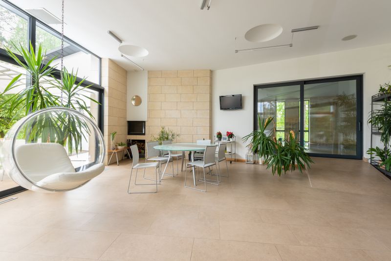 A spacious sunlit apartment with plants and a hanging chair